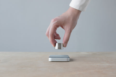 Acaia Calibration Weight 100 G